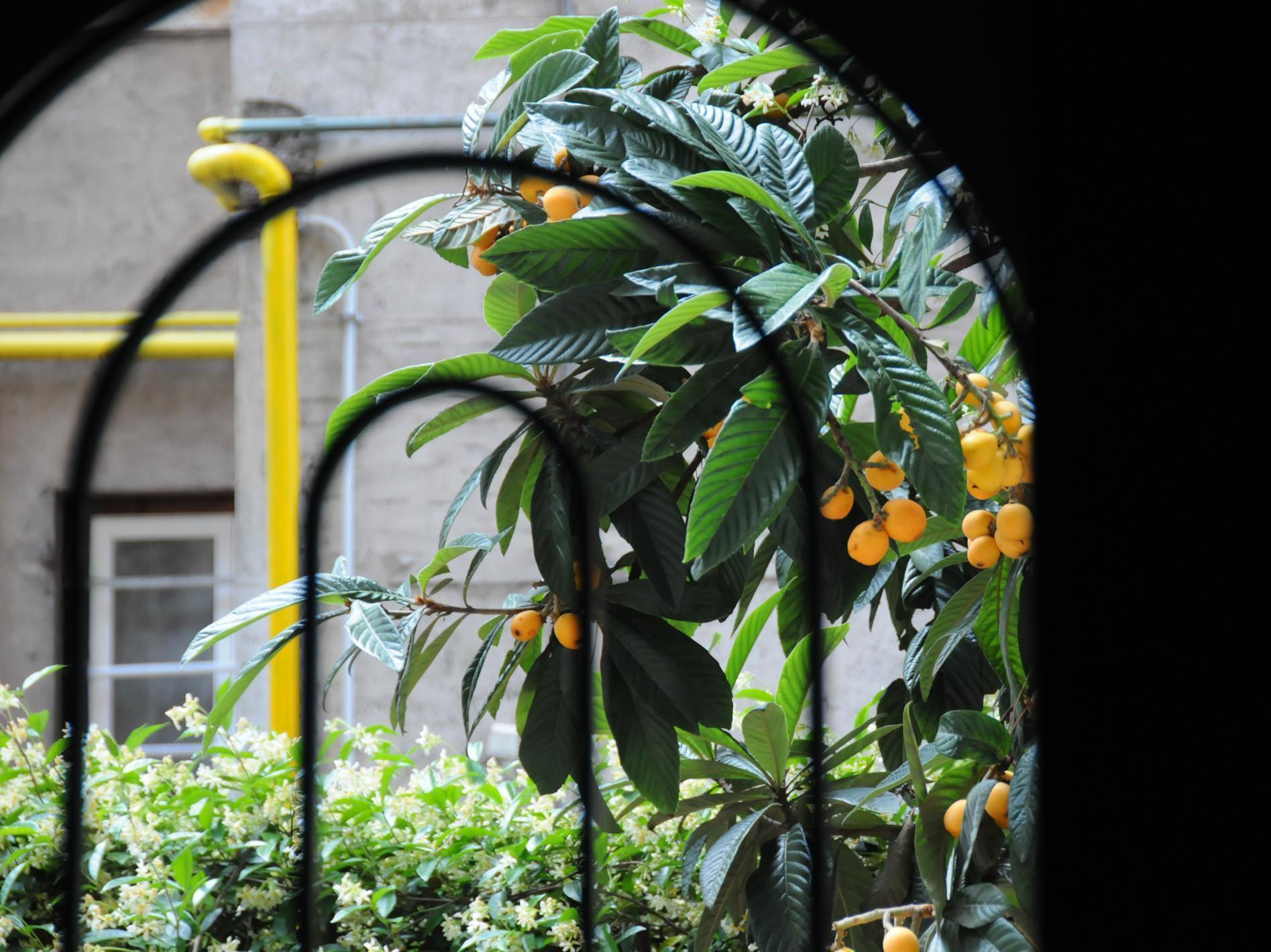 Circus Maximus B&B Rome Exterior photo
